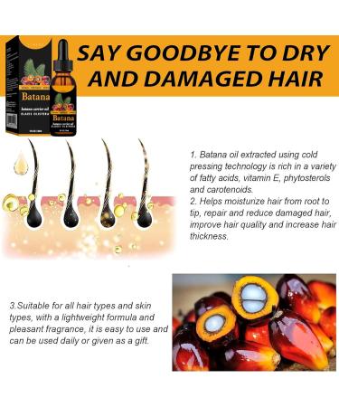Organic Batana Oil Batana Oil for Hair Growth 100% Pure Raw Batana Growth Oil Natural Nurish Hair Care Oil Hair Butter for Hair Regrowth Repair Damaged Hair Anti Hair Loss Prevent UV Damage - Buy Online on GoSupps.com