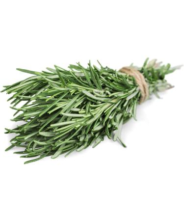  Tazarin LTD 50g Wild Atlas Rosemary Leaves Whole and Dried - Highly Aromatic Compared to Cultivated Rosemary Sun-Dried - Buy Online on GoSupps.com