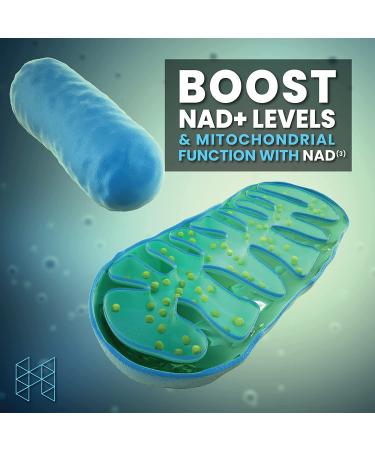 HPN Supplements NAD3 NAD+ Booster | Value Size 2 Month Supply | Clinically Proven & Independently Tested - Metabolic Repair | 311 mg per Serving - 120 Capsules - Buy Online on GoSupps.com