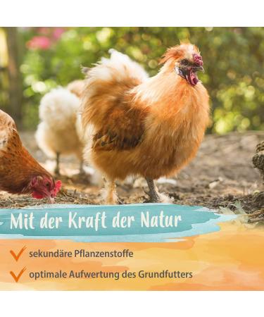 Ida Plus-Revital 200ml | Optimal Regeneration for Chickens & Poultry Post Anti-Mite & Worm Treatment | Iron & Vitamin B Complex - Buy Online on GoSupps.com