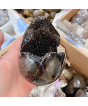 Natural Crystal Rough Crystal 1pcs 900-1.1kg Natural Curvature of The Furnishing Articles Turtle Grain Stone Stones Ball Septarian Nodule Crystal Quartz - Buy Online on GoSupps.com