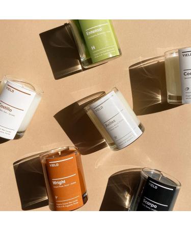 Buy Yield Mini Retreat Organic Coconut Wax Candle - Firewood Citrus & Pine Scent - 50 Hour Burn Time - Hand Poured Aromatherapy Candle - 8 oz - Luxury Scented Candles - Ship Worldwide - Buy Online on GoSupps.com