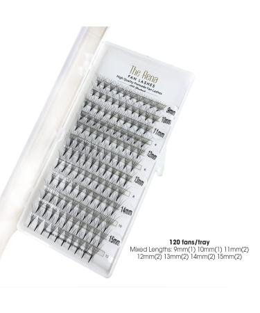 Premade 5D Eyelash Extensions Mixed Tray | Volume Lash Fans 12 Lines 9-15mm | Thick 0.1 | Curl D - Rena Fan Lashes - Buy Online on GoSupps.com