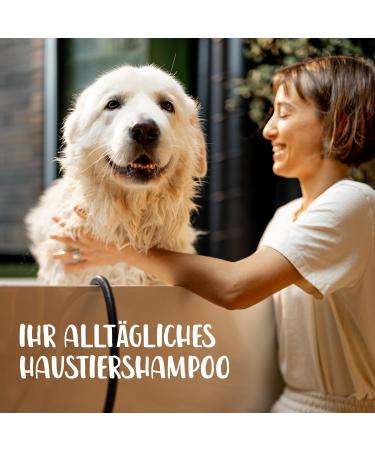 Hello Jack Natural Dog Shampoo - Gentle Aloe Vera & Chestnut Formula for Dogs Puppies & Cats - Eliminates Odor & Promotes Soft Shiny Fur - Buy Online on GoSupps.com