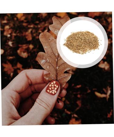 Beatifufu 1 Glass Chip Shiny Nail Stickers Epoxy Filling Irregular Glass Epoxy Fillers Manicure DIY Accessories Glass Charms Filling DIY Nail Art Crushed Glass Nail Art Stone DIY Fillers 0.5X0.3cm Golden - Buy Online on GoSupps.com