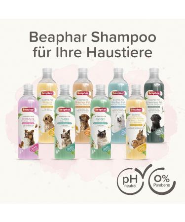 Beaphar Dog Shampoo for All Breeds - Macadamia Oil & Aloe Vera - Vegan Paraben-Free Fresh Fragrance - 250 ml for Shiny Coat - Buy Online on GoSupps.com