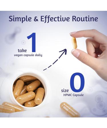 Angtai JN Akkermansia Muciniphila Probiotic 30 Billion TFU Pasteurized Form with Natural Prebiotic Inulin GLP-1 Supplement for Gut Health & Digestion Shelf Stable 30 Vegan Capsules - Buy Online on GoSupps.com