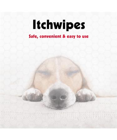 Petkin Anti Itch Wipes for Dogs and Cats - Soothes Hot Spots Skin Irritations and Scratching - Bitter Taste Stops Licking and Chewing - Super Convenient Ideal for Home or Travel - 30 Wipes White 30 count (Pack of 1) - Buy Online on GoSupps.com