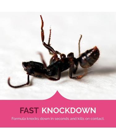 Hot Shot Ant Roach & Spider Killer 2 Pack 17.5 oz - Kills Roaches and Listed Ants On Contact - Indoor & Outdoor Insecticide Spray Twin Pack - Buy Online on GoSupps.com