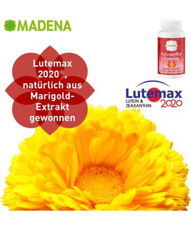 Buy Madena Astaxanthin Complex 16 mg - Premium Astaxanthin Lutemax 2020 Coenzyme Q10 - 90 Capsules for Enhanced Health - Buy Online on GoSupps.com