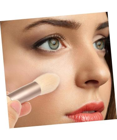 Beavorty 3 Sets Travel Makeup Brushes Foundation Brush for Makeup Women Makeup Supplies Highlights Hair Dye Kit Women s Suits Girls Eyeshadow Brush Beauty Miss Tool Pu Mini - Buy Online on GoSupps.com