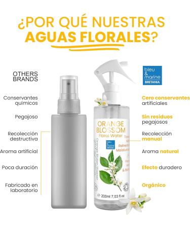  bleu & marine Bretania Bleu & Marine Bretania - Jasmine Floral Water Hydrosol 500ml | Skin Care Sunburn Burns Insect Bites | Homemade Cosmetics Fragrance | Acne-Prone Oily Areas - Buy Online on GoSupps.com