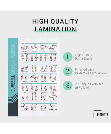 Buy PosterMate FitMate Exercise Poster - Workout Routine with Weights | Home Gym Decoration Guide 41.5 x 63.5 cm | International Shipping Available - Buy Online on GoSupps.com