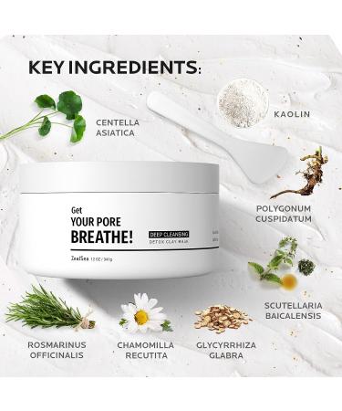 ZealSea 12 OZ Deep Cleansing Clay Mask - Exfoliating Face Mask for Oil Control and Blackhead Removal | Detox Clay Facial Mask for Hydrating Skin Care - Women/Men - Buy Online on GoSupps.com
