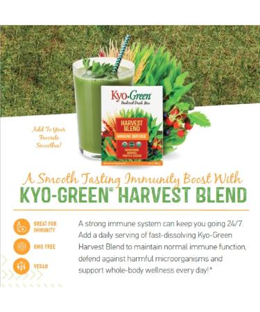 Kyo-Green Harvest Blend Superfood Supplement - 6 Oz Drink Mix | Nutrient-Rich Energy Boost - Buy Online on GoSupps.com