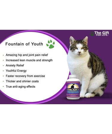 Advanced Feline Hip & Joint Supplements for Cats - 60 Pain Relief Treats with Beef Liver- Boost Vitality & Longevity - Buy Online on GoSupps.com