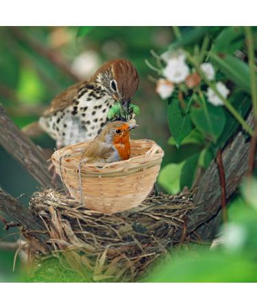 Obelunrp Bird Nest for Wildbird 6pcs 3.9inch Bamboo Woven Nesting Boxes for Wild Birds Hatching Breeding Cave for Parrot Canary or Cockatiel - Buy Online on GoSupps.com