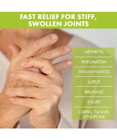 Premiere's Pain Spray All-Natural Menthol & Peppermint Roller Herbal Blend for Joint and Nerve Pain Muscle Soreness Sprains Cramps Sports Injuries Back Pain & Neck Shoulder Aches - 1 Pack 3 Fl Oz (Pack of 1) - Buy Online on GoSupps.com