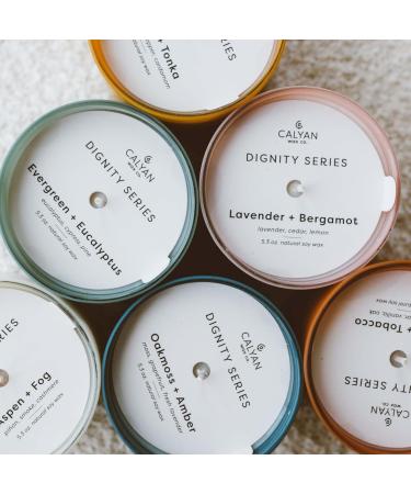 Calyan Wax Soy Candle Gift Set | The Dignity Series | Set of 6 Premium Scented 7oz Candles | Perfect Gift for Women Birthdays & Anniversaries | 100% Soy Wax - Buy Online on GoSupps.com