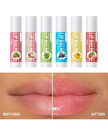 6 Pack Fruit Lip Balm Set - Vitamin E Enriched Moisturizing Lip Care with Natural Honey Aloe Vera & Coconut Oil Assorted Flavors for Soft Lips & Perfect Lip Primer - Buy Online on GoSupps.com