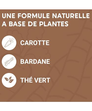 SUN FORMULA | Rapid and Optimized Tanning | Carrot Betacarotenes Selenium Burdock Copper | Skin Preparation and Protection | Hal Complexion | 30 days | Food Supplement - Buy Online on GoSupps.com