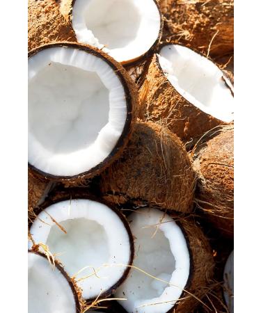 Khadi Coconut Shikakai Ayurvedic Conditioner - 100% Natural Silicone-Free Vegan Hair Care 200ml for Shine & Curls - Buy Online on GoSupps.com