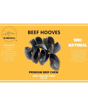 Cow Hooves for Dogs - *(Large 10 Pack Cow Hooves)* - Beef Hooves Dog CHEW Treat - 100% All Natural Free Range Beef - Long Lasting Large Premium Cow Hooves - Buy Online on GoSupps.com