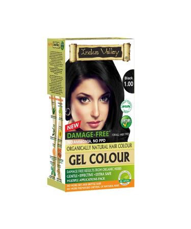 Indus Valley Natural Organic Damage Free Permanent Gel Hair Color  Ammonia Free  Vegan  Cruelty Free  Up to 100% Gray Coverage |Doctor Recommended| Bio Natural Certified- Black 1.0 (20gram+200ml) Pack of 1
