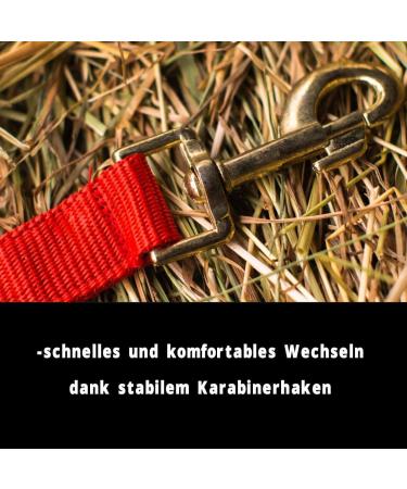 Halter for Horses with Rope | Premium Horse Halters for Shetty Pony Thoroughbred Full & X-Full - Available in Red for Cold Blood Breeds - Buy Online on GoSupps.com