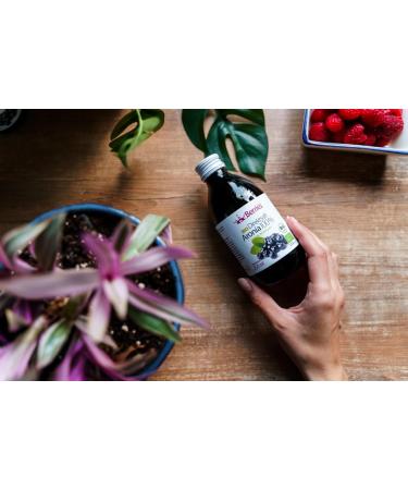 Organic Aronia Berry Juice | Cold-Pressed Vegan No Added Sugar | 250ml - Bio Polish Juice - Buy Online on GoSupps.com