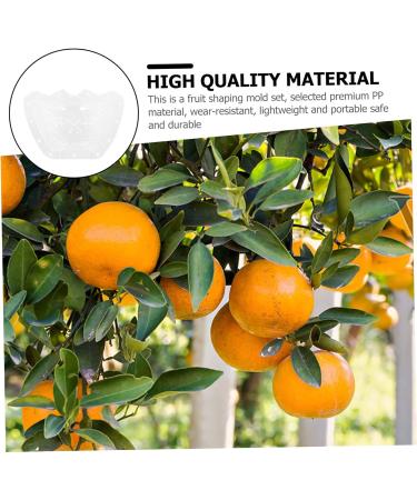 Yardwe 4 Pcs Ingot Shaped Mold Vegetables Pearl Shaping Mold Ingot Design Fruit Growing Molds Accessories - Buy Online on GoSupps.com