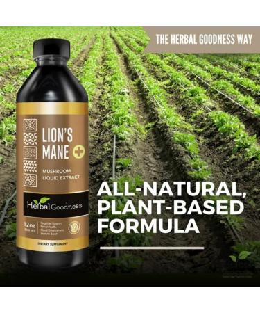 Herbal Goodness Lions Mane Mushroom Extract 12 Fl Oz Alcohol-Free Nootropic Tonic for Brain Memory & Focus Support | Organic Mushroom Extract for Cognitive & Nervous System Health | Vegan Non-GMO - Buy Online on GoSupps.com