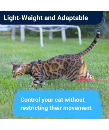 Cat Harness and Leash - Escape Proof Choke Free Lightweight OutdoorBengal - Vest + Lead for Walking Cats (M) Adult Black - Buy Online on GoSupps.com