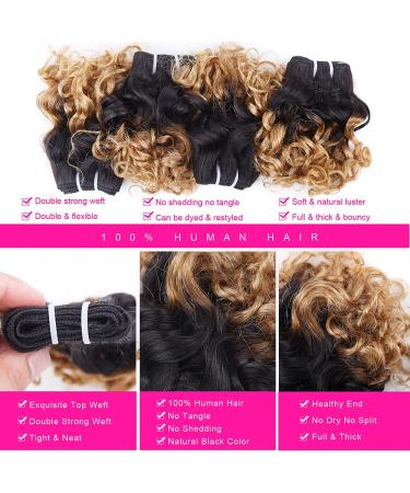10A Brazilian Ombre Curly Short Bob Hair Bundles - 8 Bundles (200g) 1B/27 Two Tone Ombre Weave - 8 8 8 8 8 8 8 8 - Buy Online on GoSupps.com