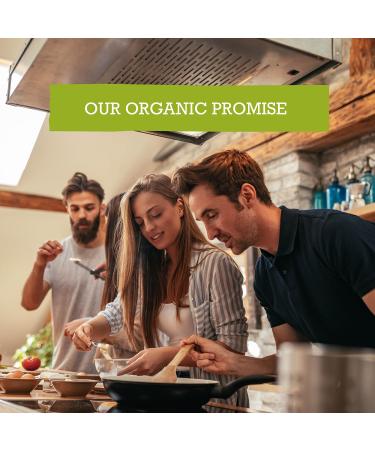 Mr Organic - Organic Whole Wheat Spaghetti 500g - Non GMO & Preservative Free - Vegan - Made in Italy Whole Wheat Spaghetti 500 g (Pack of 1) - Buy Online on GoSupps.com