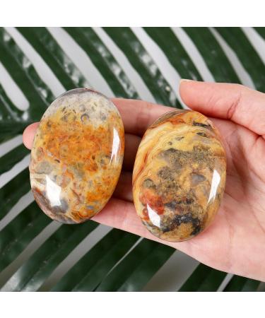 Xiannvxi 2.4'' Crazy Lace Agate Palm Stone | Natural Polished Crystal for Worry Stones Massage & Reiki Healing - Buy Online on GoSupps.com