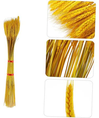 200 Pcs Dried Wheat Ears Bouquet Rural Dried Flowers. Gift Yellowx2pcs 52X10CMx2pcs - Buy Online on GoSupps.com