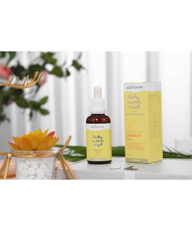 Bioloving Liquid Q10 Plus - Organic Coenzyme Q10 & Vitamin B | Vegan Anti-Aging 50ml - Support Nervous System & Well-Being - Buy Online on GoSupps.com