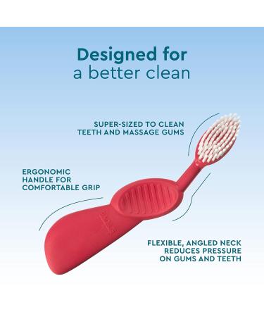 RADIUS Flex Soft Bristles Toothbrush - BPA Free, ADA Accepted - Improve Gum Health - Right Hand - Assorted Colors - Pack of 6 - Buy Online on GoSupps.com
