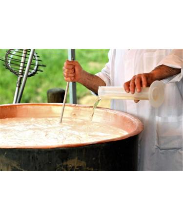 Buy Rennet Tablets - Fromase 50/5 (6 Total) | Made in France | International Shipping Available - Buy Online on GoSupps.com