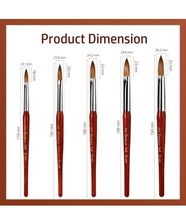 Kolinsky Acrylic Nail Brush - Professional Red Wood Sable Oval Brush for Nail Extensions & 3D Art (Size 8) - Ideal for Home Salon & Beginners - Buy Online on GoSupps.com