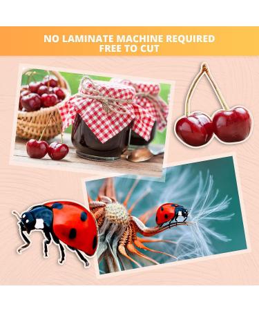 HTVRONT Clear Self-Adhesive Laminating Vinyl Roll-12"x30FT Non Thermal Laminating Film No Machine Needed Clear Vinyl Laminate for Stickers 12*30ft Feet - Buy Online on GoSupps.com