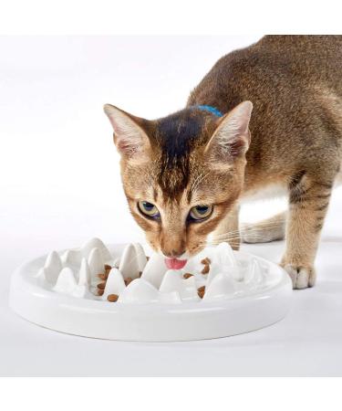 Cat Slow Feeder Bowl, DotPet Ceramic Fun Interactive Feeder Bloat Stop Cat Bowl Preventing Feeder Anti Gulping Healthy Eating Diet Pet Bowls Against Bloat, Indigestion and Obesity