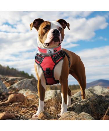 Joytale Neoprene Dog Collar for Medium Dogs | Softly Padded & Nylon Reflective | Red - 1 Pack - Buy Online on GoSupps.com