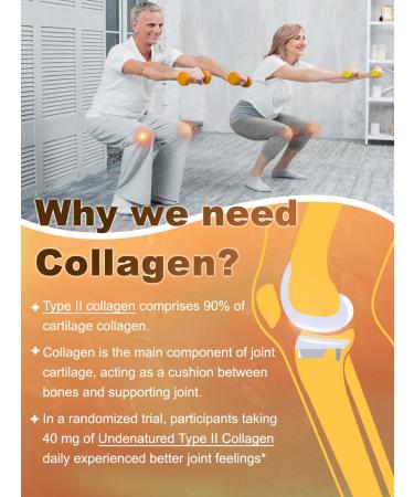 NATURE TARGET Glucosamine Chondroitin - Joint Supplement for Women & Men, Plus MSM, Collagen, Shellfish Free, 120 Counts 120 Count (Pack of 1) - Buy Online on GoSupps.com