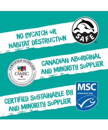 Raincoast Trading Global Chunk Albacore Tuna in Water White Tuna Sea Salt Certified Sustainable Wild Caught Pole and Line High Protein Keto Diet - Case of 12 142g Cans - Buy Online on GoSupps.com