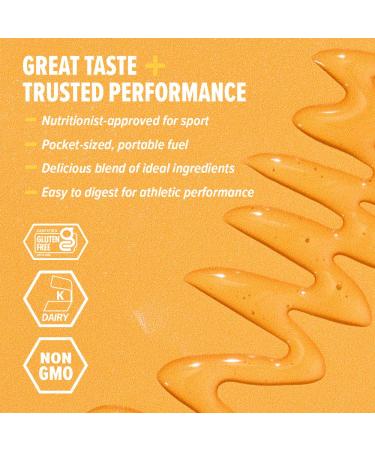 Honey Stinger Energy Gel Variety Pack 12 Packs Each of Gold and Organic Fruit Smoothie Gluten Free & Caffeine Free Sports Nutrition for Home & Gym Pre and Mid Workout Variety Pack - Gold and Fruit Smoothie 1.1 Ounce (Pack  - Buy Online on GoSupps.com