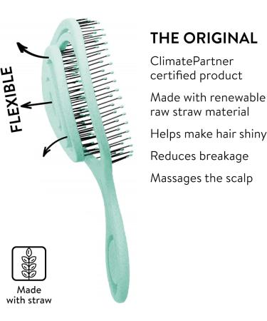 CHIARA AMBRA Bio Friendly Detangling Brush - Vegan Turquoise Vent Hairbrush for Thick & Curly Hair - Buy Online on GoSupps.com