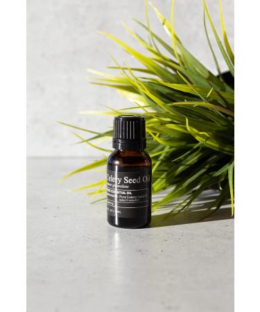 Premium Quality Celery Seed Essential Oil (0.5 Fl Oz) - Batch Tested & Third-Party Verified for Trustworthy Results - Buy Online on GoSupps.com
