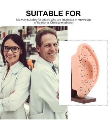 iplusmile Acupuncture Ear Teaching Model - Educational Ear Massage Tool - Buy Online on GoSupps.com